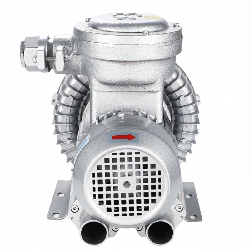 Explosion Proof Ring Blower 380V best Explosion Proof Ring Blower 380V best
